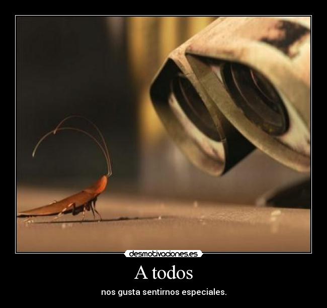 A todos - nos gusta sentirnos especiales.