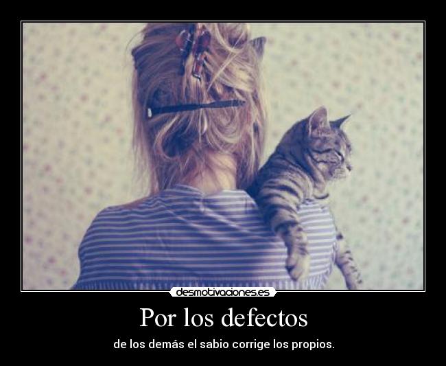 carteles defectos desmotivaciones