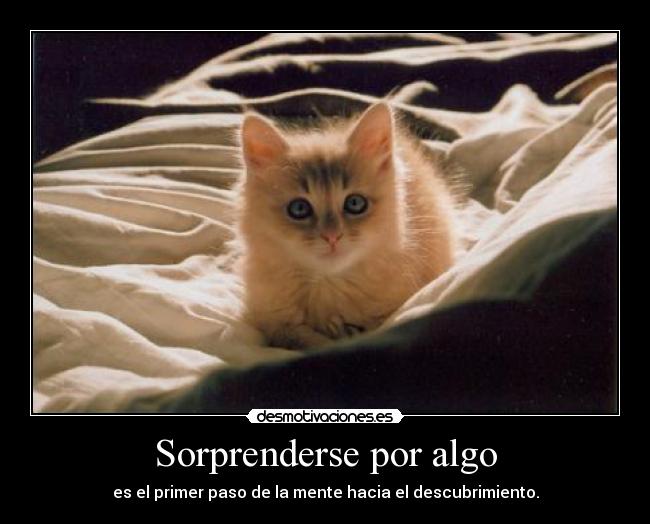 carteles papapitufo pitupac awesomenawe volviendo los origenes desmotivaciones