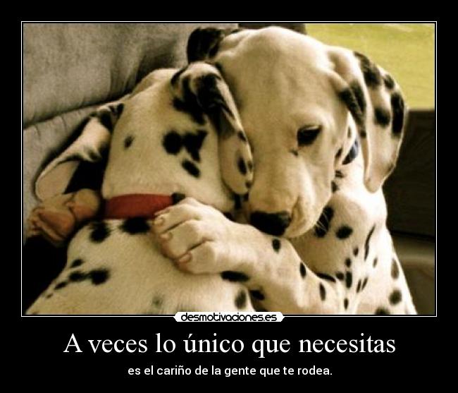 carteles papapitufo pitupac awesomenawer dalmatas love desmotivaciones