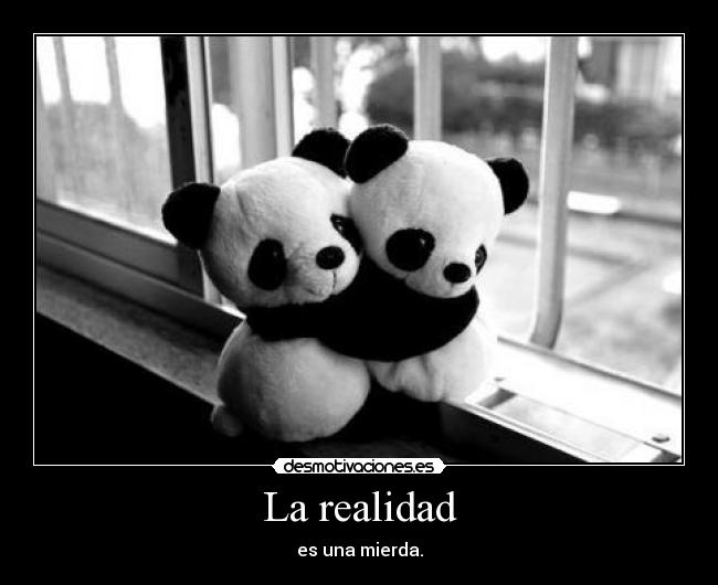 La realidad -