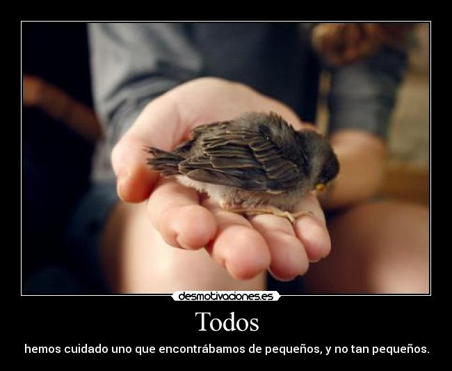 Todos - hemos cuidado uno que encontrábamos de pequeños, y no tan pequeños.