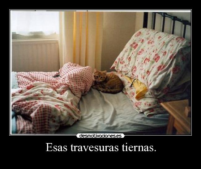 Esas travesuras tiernas. - 