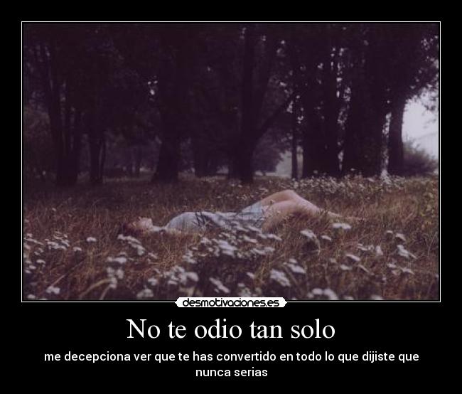 No te odio tan solo - me decepciona ver que te has convertido en todo lo que dijiste que nunca serias