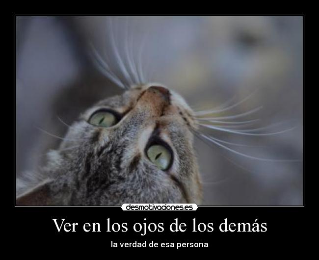 Ver en los ojos de los demás - la verdad de esa persona