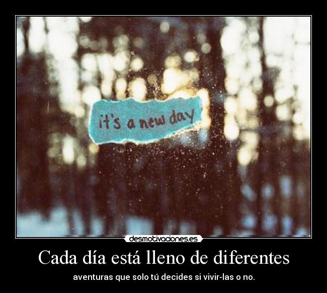 Cada día está lleno de diferentes - aventuras que solo tú decides si vivir-las o no.
