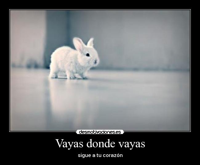 Vayas donde vayas - 