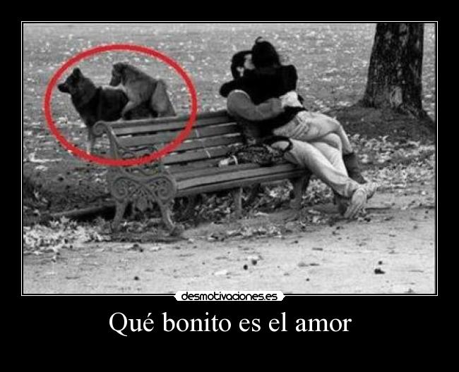 Qué bonito es el amor - 