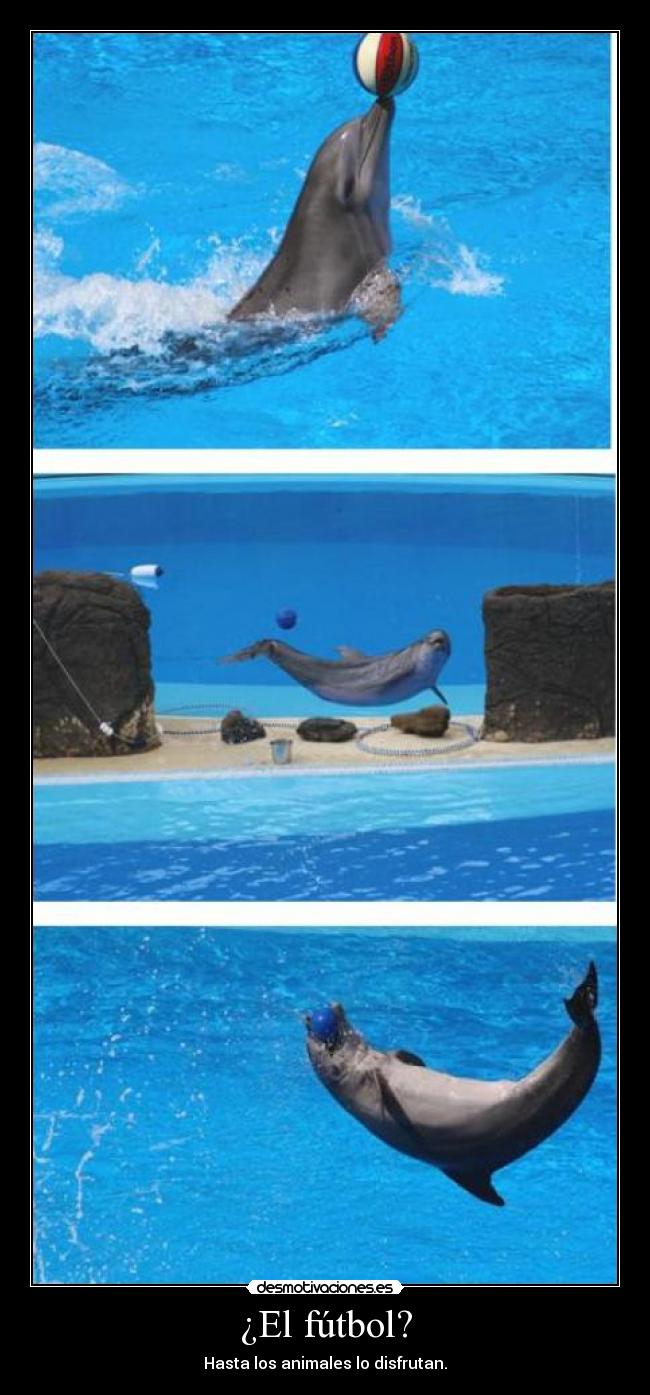 ¿El fútbol? -