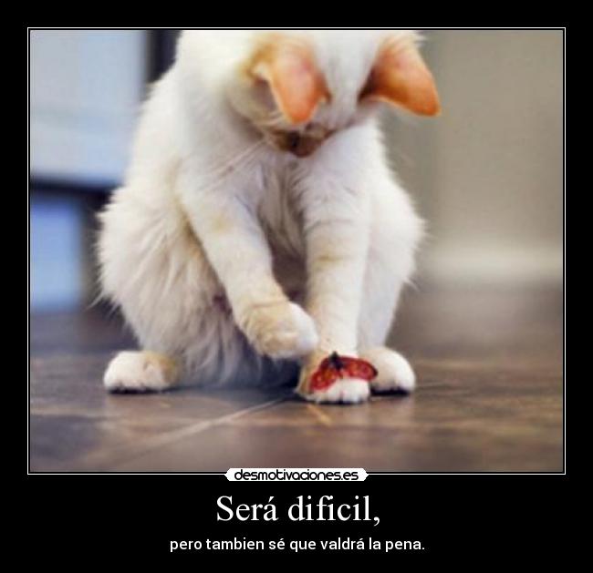 Será dificil, - pero tambien sé que valdrá la pena.