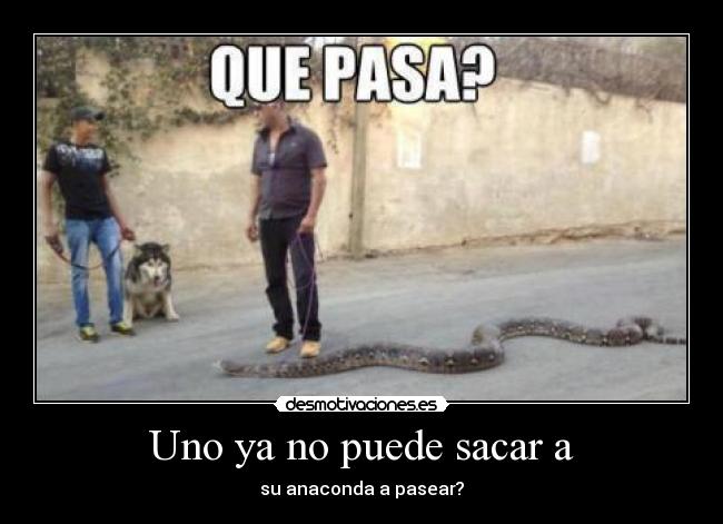 carteles fail desmotivaciones