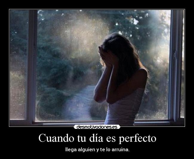 Cuando tu día es perfecto - 