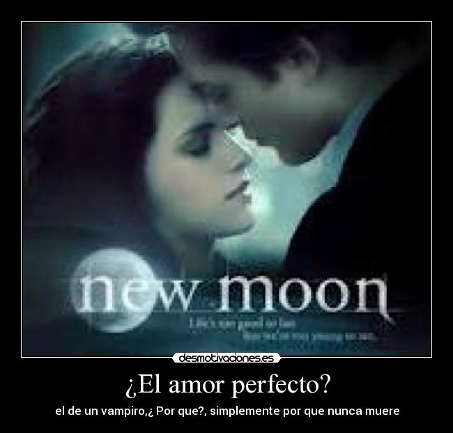 ¿El amor perfecto? - el de un vampiro,¿ Por que?, simplemente por que nunca muere