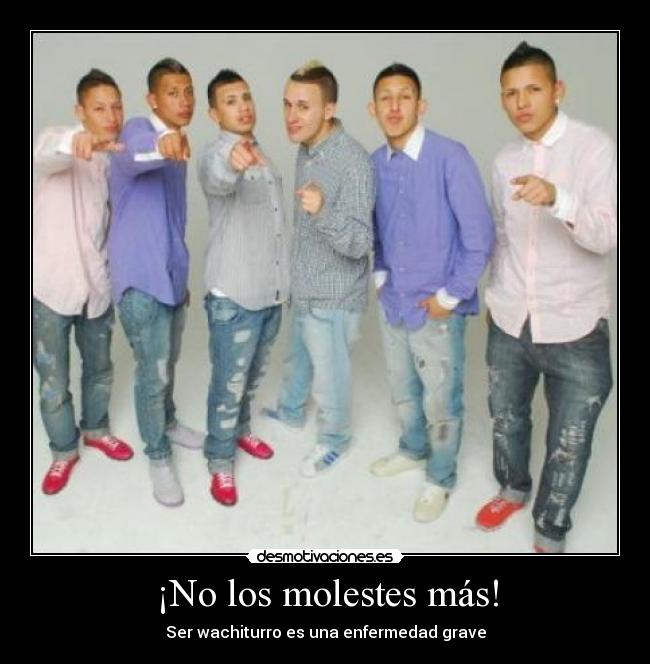 ¡No los molestes más! -