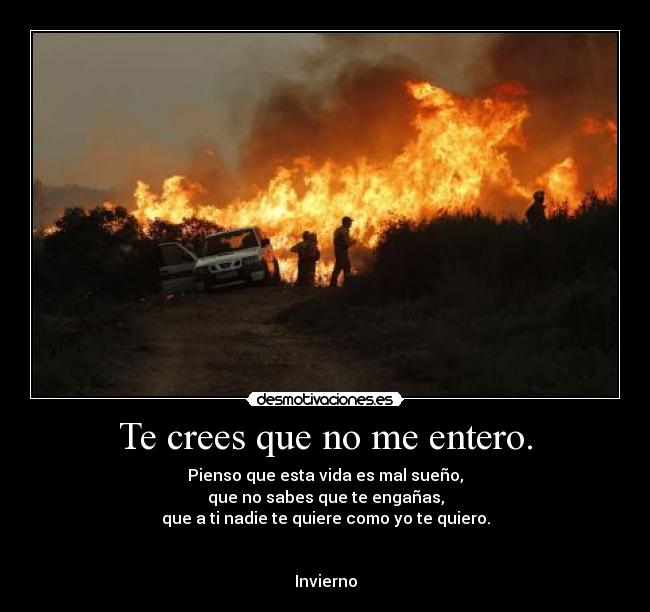 Te crees que no me entero. - Pienso que esta vida es mal sueño,
que no sabes que te engañas,
que a ti nadie te quiere como yo te quiero.
Invierno