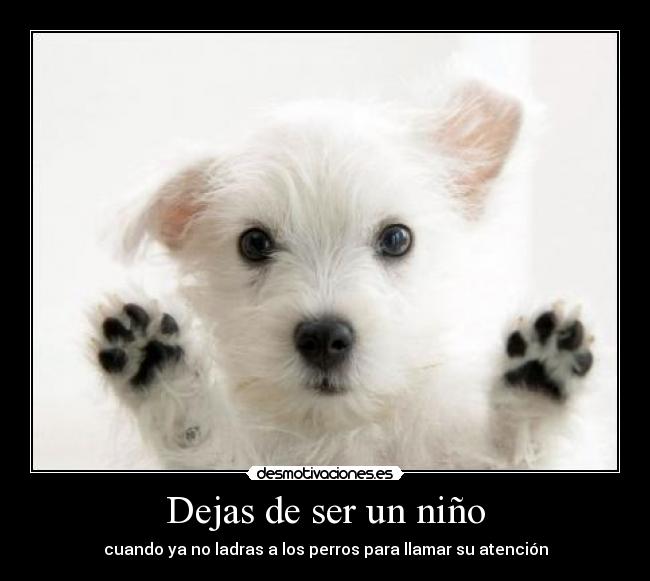 carteles perros ninos desmotivaciones