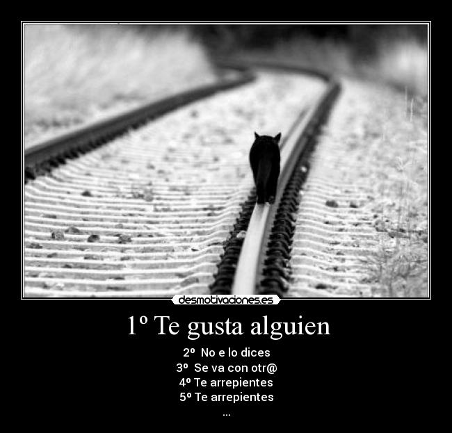 1º Te gusta alguien - 2º No e lo dices
3º Se va con otr@
4º Te arrepientes
5º Te arrepientes
...