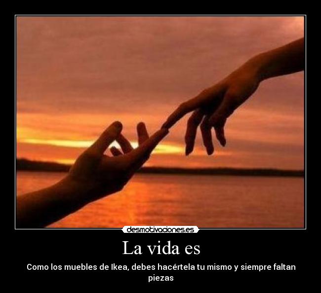 carteles vida vida vuelto volvivo como decia gogle dice que volvido esta mal pero odio google desmotivaciones