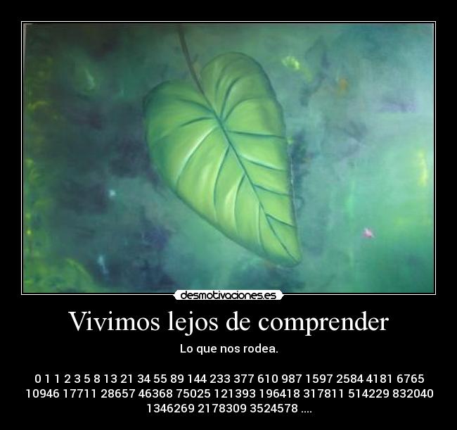 carteles gato intruders crazyclub clanreyleon phi sucesion fibonacci numero oro desmotivaciones