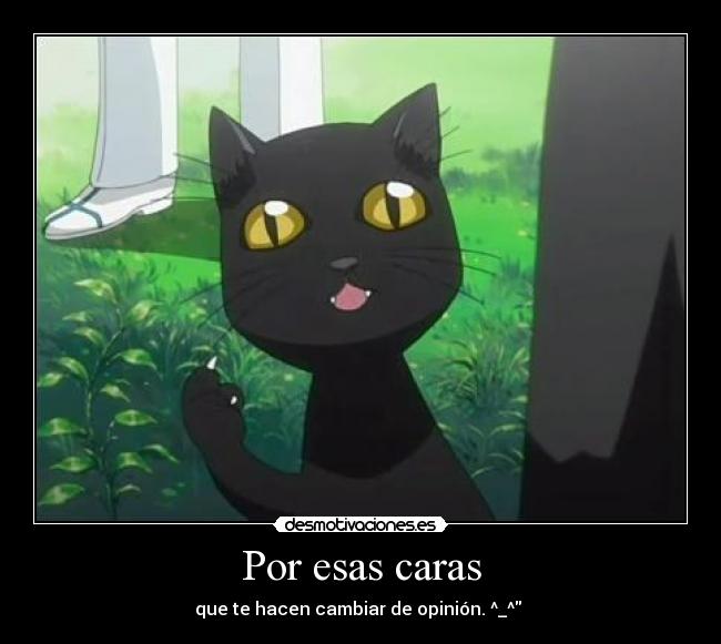 carteles ciertisimo desmotivaciones