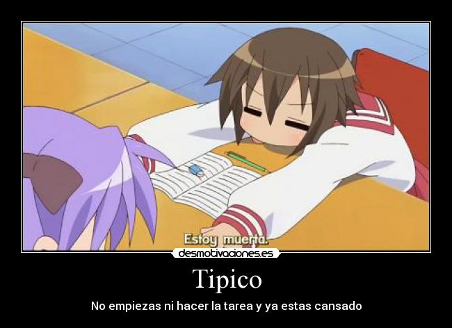 Tipico - 