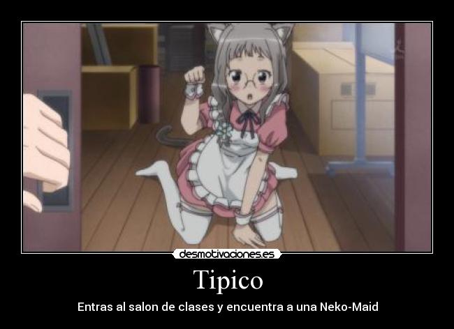 Tipico - Entras al salon de clases y encuentra a una Neko-Maid