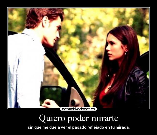 carteles pachusdefresa cronicas vampiricas stefan elena los amo desmotivaciones