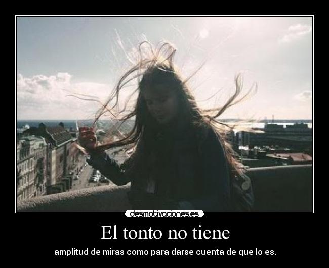 El tonto no tiene - amplitud de miras como para darse cuenta de que lo es.