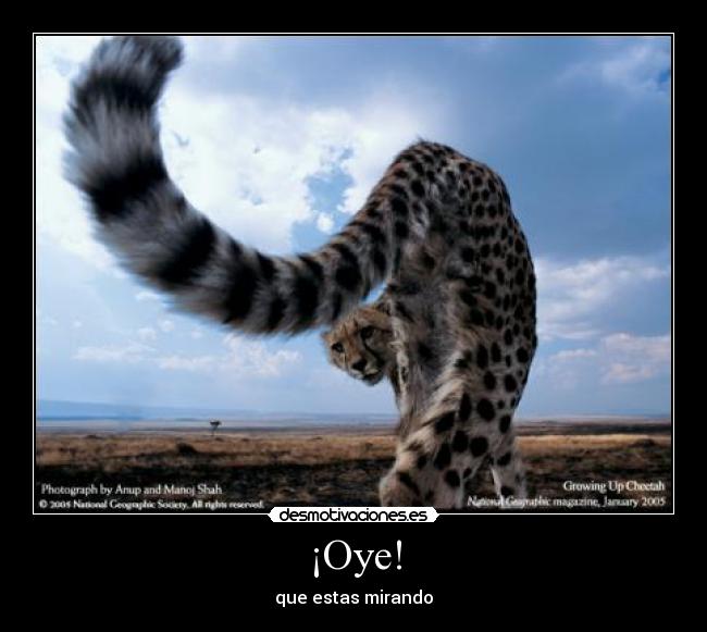 ¡Oye! - que estas mirando