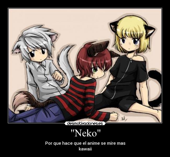 Neko - Por que hace que el anime se mire mas
kawaii
