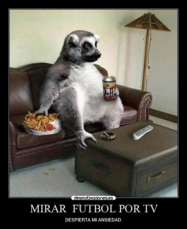 MIRAR FUTBOL POR TV -