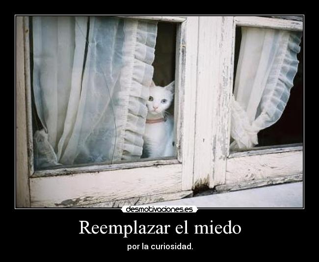 Reemplazar el miedo -