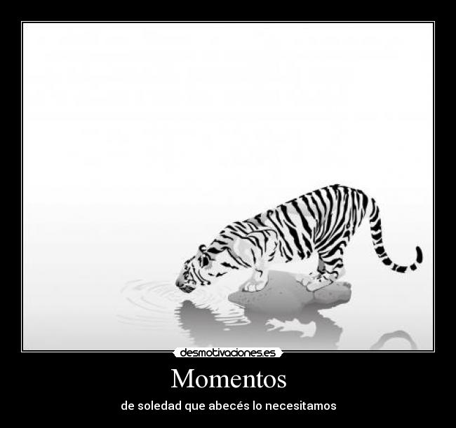 Momentos - de soledad que abecés lo necesitamos