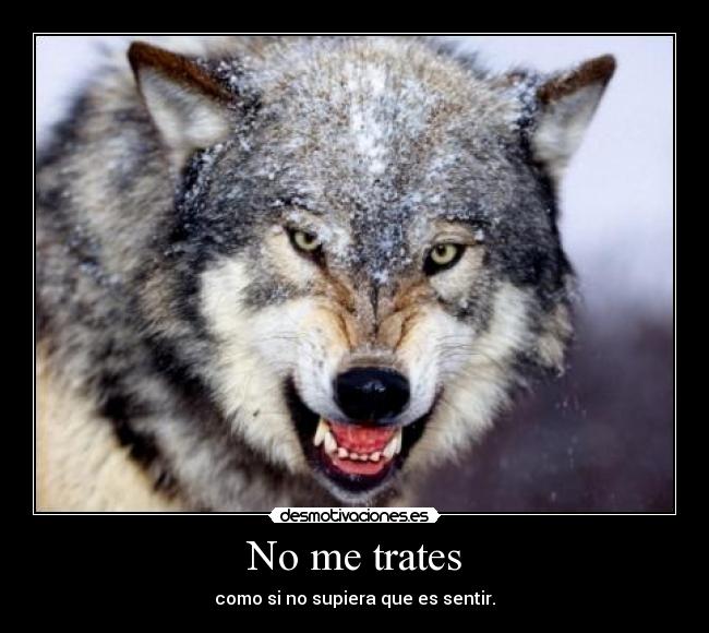 No me trates - como si no supiera que es sentir.