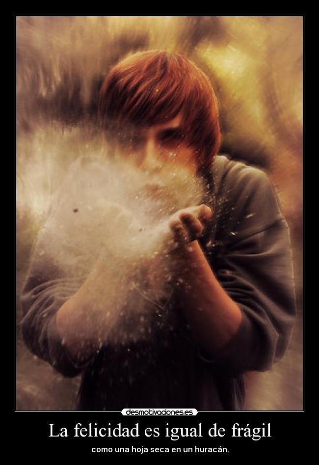carteles felicidad felicidad igual fragil hoja huracan huracan feliz desmotiva desmotivaciones