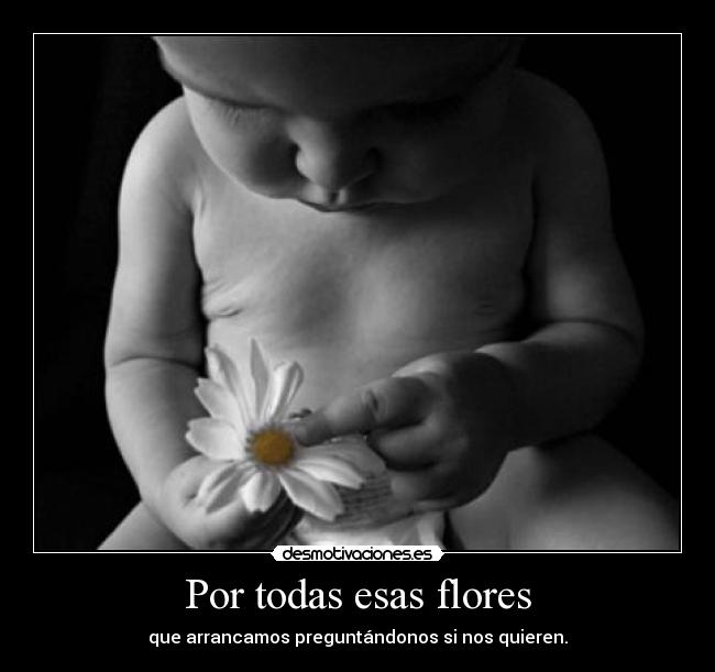 Por todas esas flores - que arrancamos preguntándonos si nos quieren.
