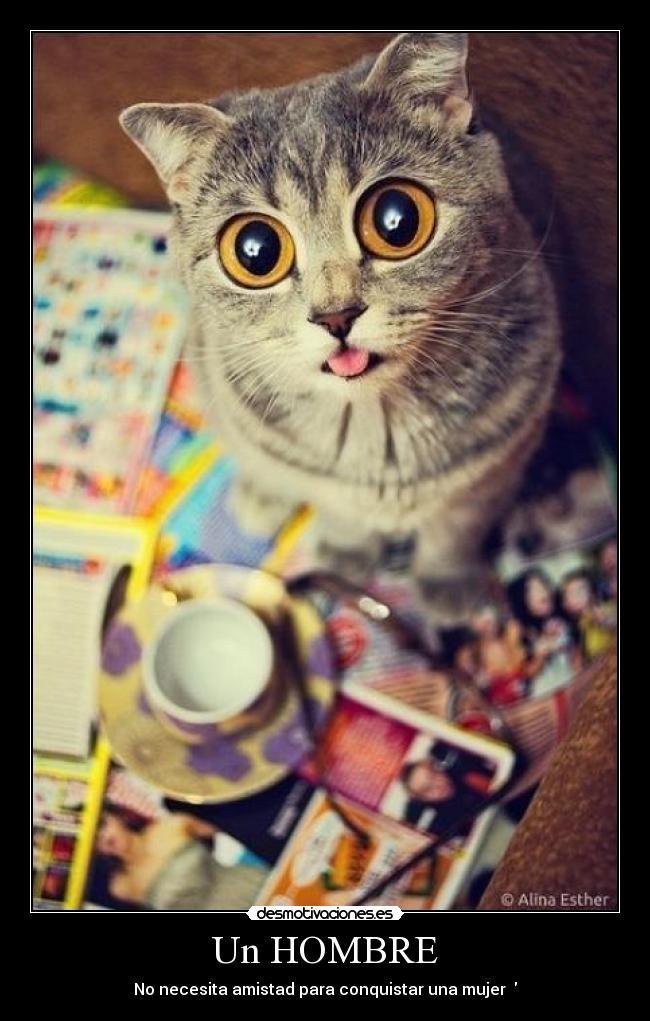 Un HOMBRE - No necesita amistad para conquistar una mujer ♥