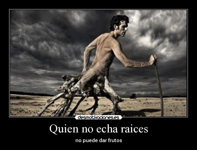 Quien no echa raices - no puede dar frutos