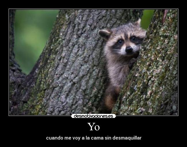 Yo - cuando me voy a la cama sin desmaquillar