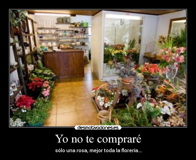 Yo no te compraré - sólo una rosa, mejor toda la florería...