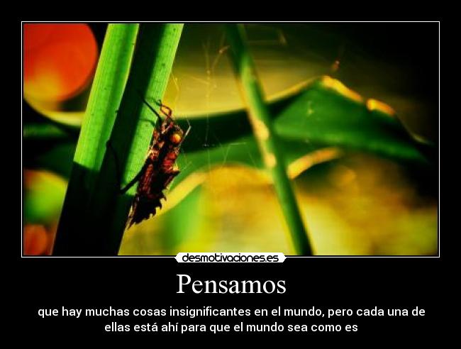 carteles the world desmotivaciones