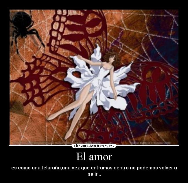 El amor - 