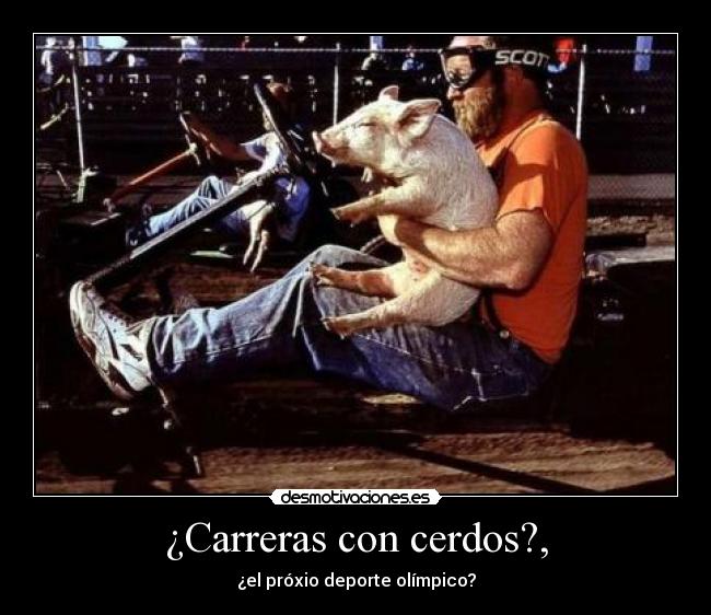 carteles carrera cerdos olimpico gibson2528 desmotivaciones