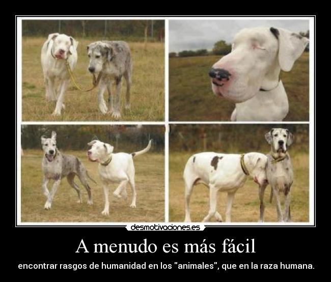 A menudo es más fácil -