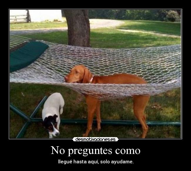 No preguntes como -