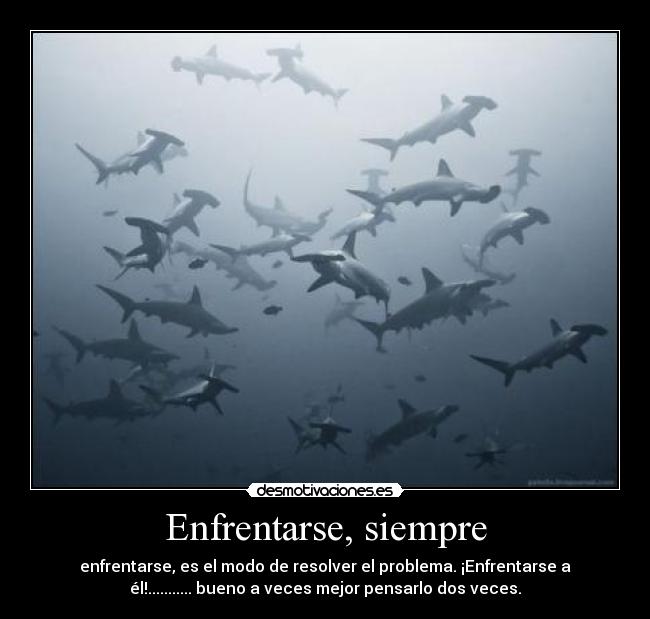 Enfrentarse, siempre -
