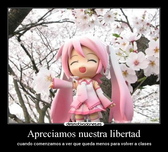 Apreciamos nuestra libertad -