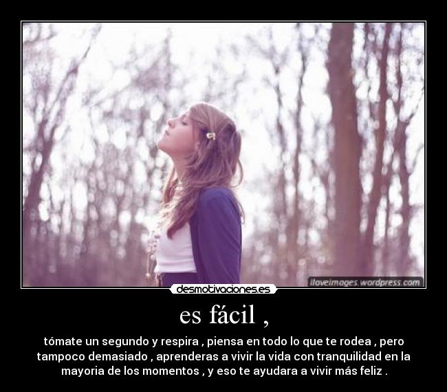 carteles ss1996 desmotivaciones