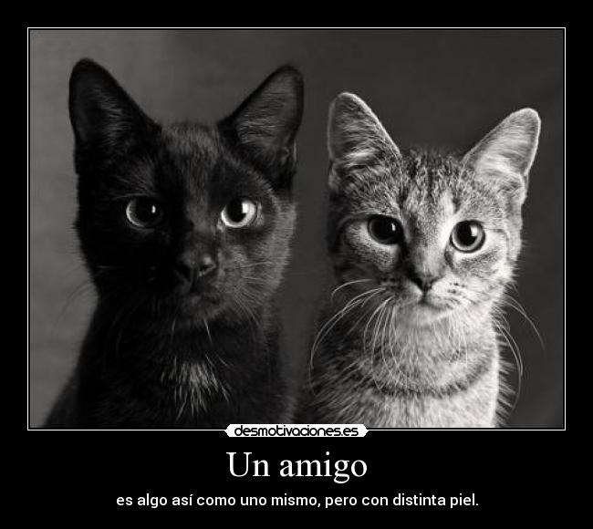Un amigo - es algo así como uno mismo, pero con distinta piel.