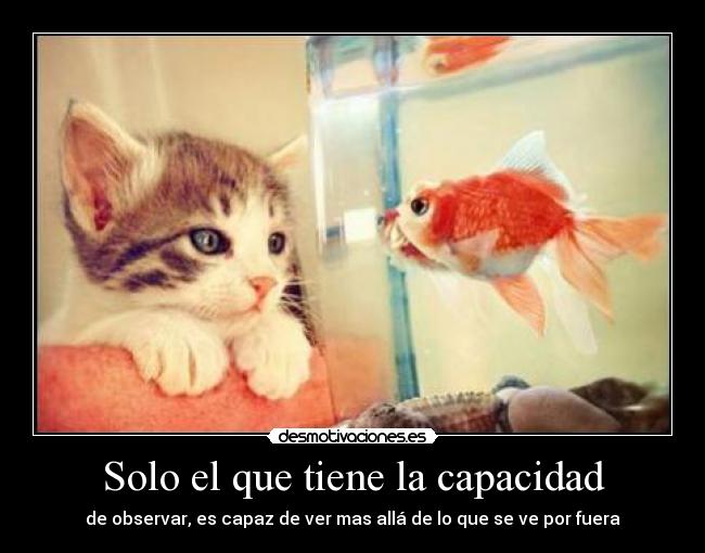 Solo el que tiene la capacidad -